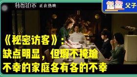 电影访客在线观看,揭秘神秘来客背后的惊世之谜